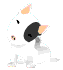 ��